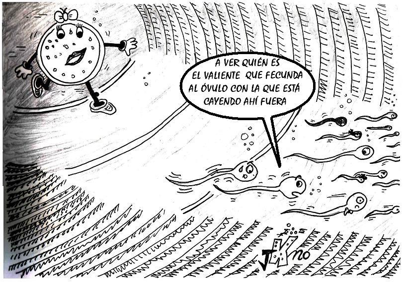 fecundacion-imposible