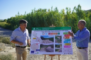 El Ayuntamiento de Montilla y la Junta de Andalucía mejoran el estado de la vía pecuaria de “La Zarza” con una inversión cercana a los 300.000 euros